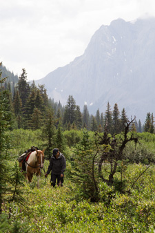 Canada-Alberta-Banff  - Backcountry Lodge Ride - 3 days